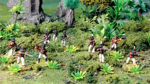 Wargaming - The Haitian Revolution in 28mm
