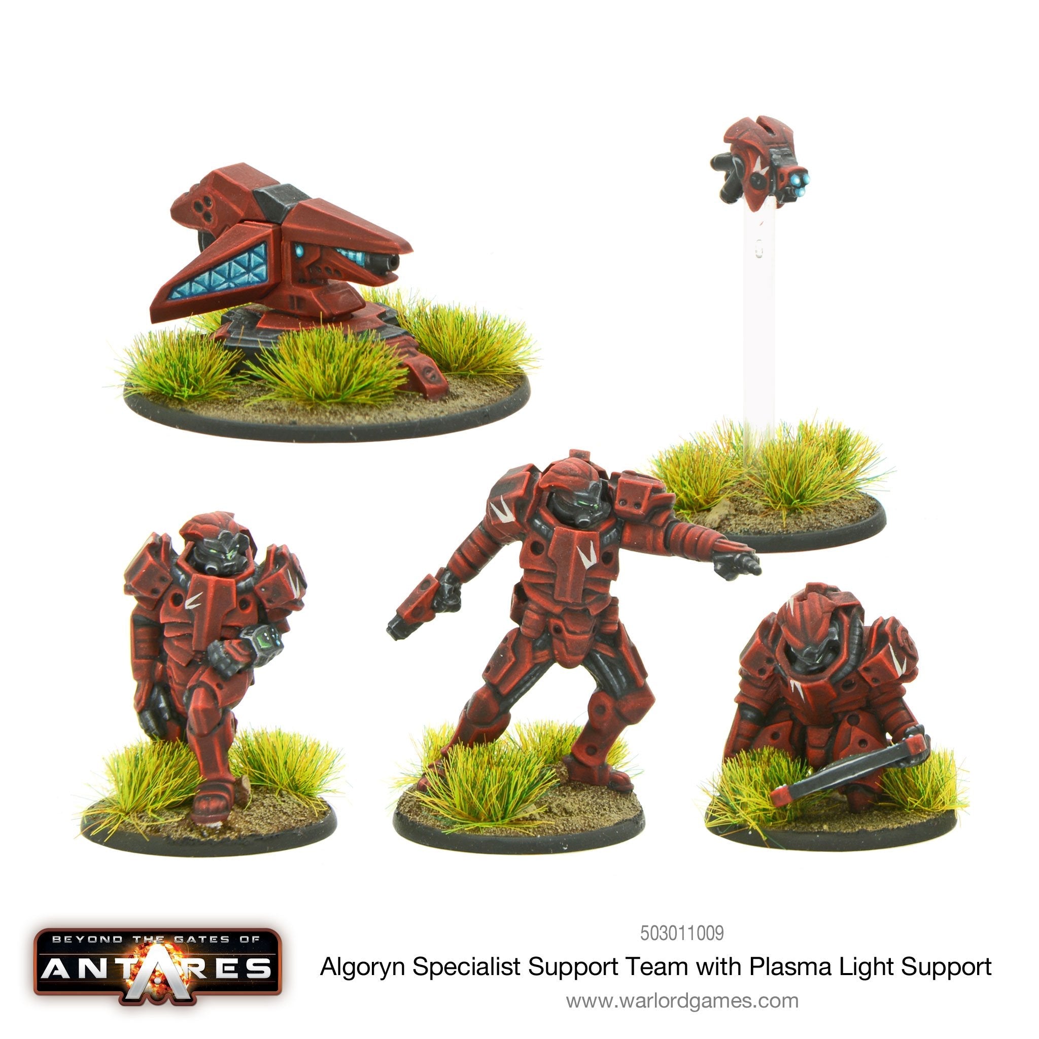Algoryn specialist support team with plasma light support
